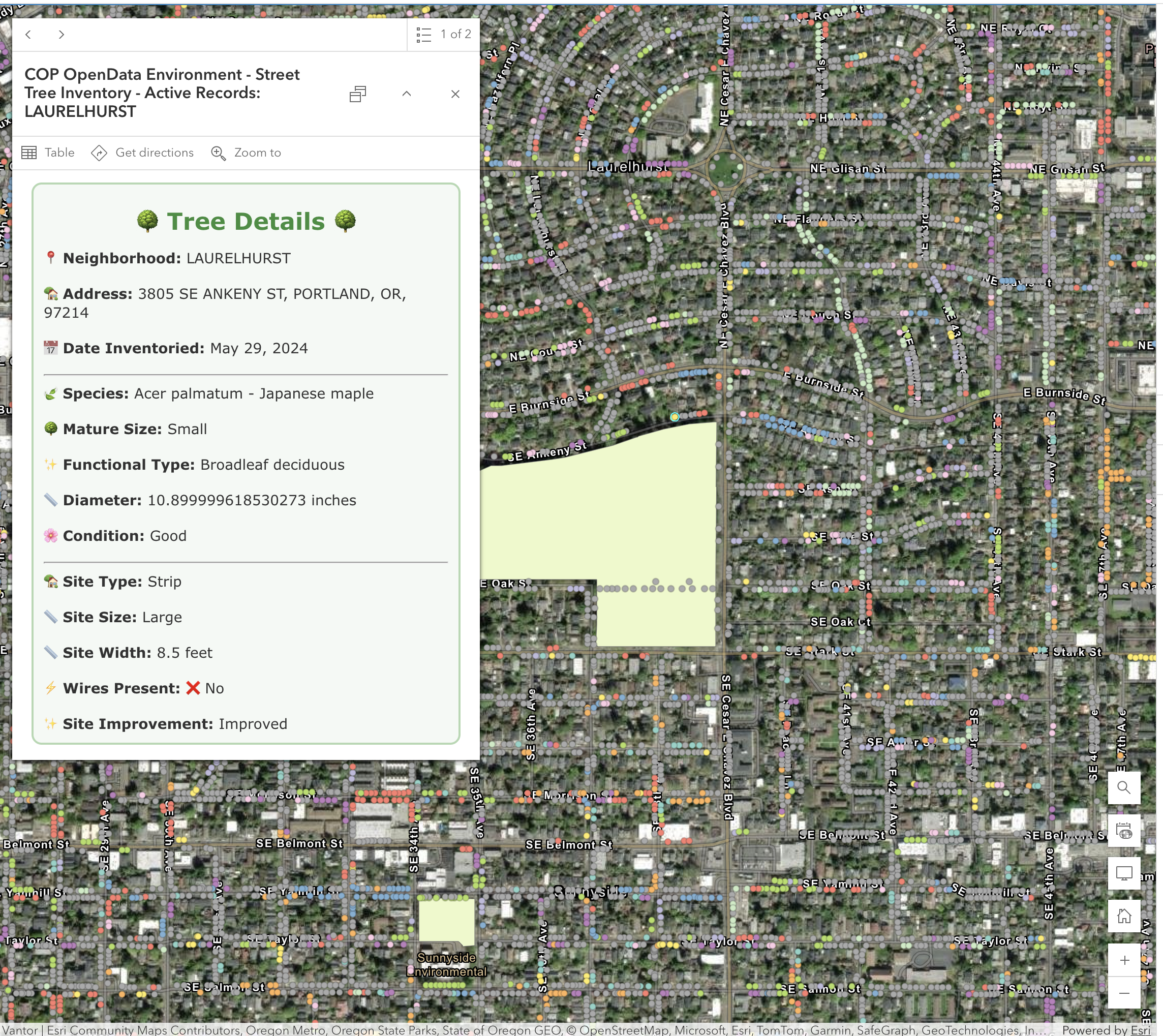 Episode 39 - GeoAI vs. The Large Language Model: A Tale of Two AIs